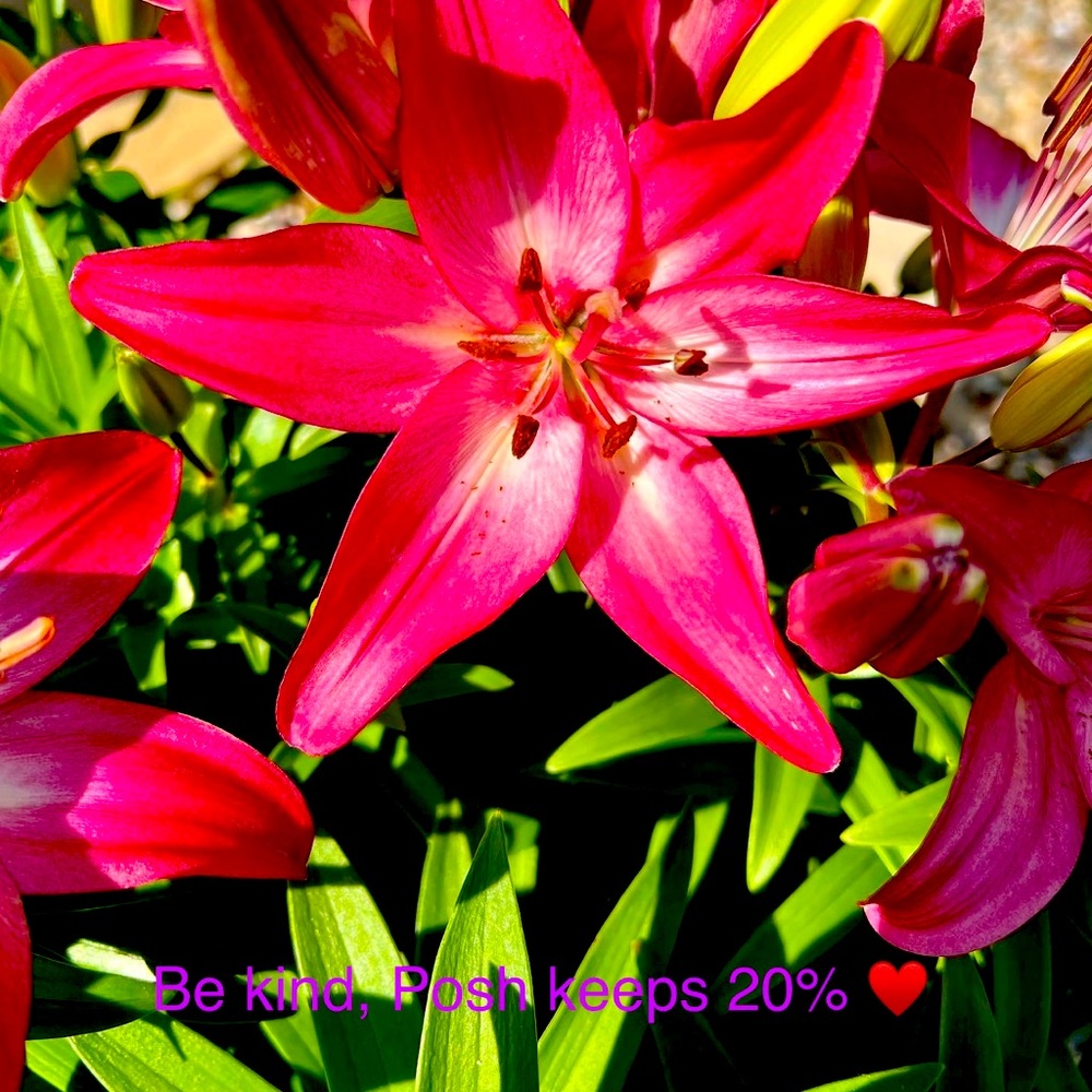 Open to offers. Be kind please. Posh keeps 20%